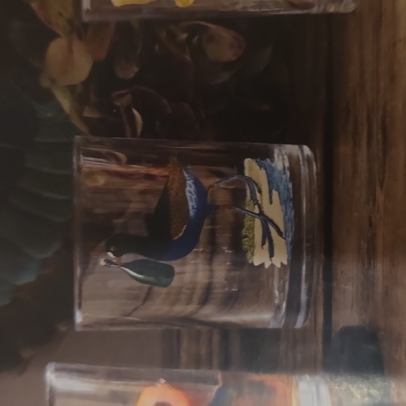 John Derian Multicolor Assorted bird highball Designs Cocktail Glasses 4 pcs Set - Picture 10 of 11